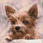 Diamond Painting Fluffy Friend   40 x 40 vierkante steentjes