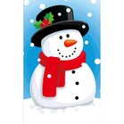 Happy Snowman  20 x 30  cm  ronde steentjes met kader