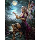 Diamond  Painting Dromerige  Fee 40x50 cm Vierkante steentjes