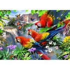 Diamond Painting Howard Robinson Flight of the Macaw  Vierkante Steentjes 65x90