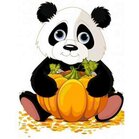 Diamond Painting Panda with Pumpkin 20 x30 cm vierkante steentjes