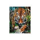 Diamond Painting Predator / Tijger  30 x 40 cm vierkante steentjes