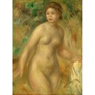 Auguste Renoir : Nude, 1895 -  Puzzel 2000 stukjes
