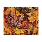 Wizardi Paint by Numbers kit. Colourful Autumn 40x50 cm