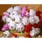 Schilderen op nummer Stilleven BLoemen  40 x50