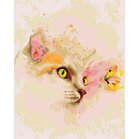Wizardi painting by number kit. Kitten and Butterfly 40x50 cm