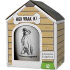 Mok &ndash; Rhodesian Ridgeback &ndash; Hond &ndash;  Keramiek 