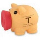 Spaarvarkentje Naam begint met T , ....