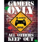 GAMERS ONLY - Mini Poster 40X50 - Controller Keep Out