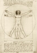 Leonardo Da Vinci - The Vitruvian Man, 1490 - puzzel 1000 Stukjes
