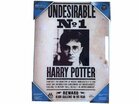 HARRY POTTER - Impression en Verre - Undesirable N?1 - 30X40 Cm