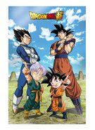 DRAGON BALL SUPER - Family - Poster 3D - 58x38cm DRAGON BALL SUPER - Family - Poster 3D - 58x38cm