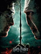 HARRY POTTER - GLASS PRINT - Harry / Voldemort - 30X40 Cm HARRY POTTER - GLASS PRINT - Harry / Voldemort - 30X40 Cm