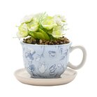 ALICE IN WONDERLAND - Teacup Planter with Faux Plant ALICE IN WONDERLAND - Teacup Planter with Faux Plant