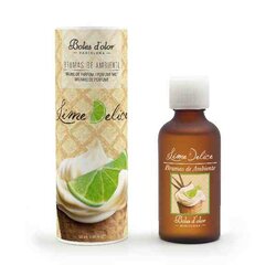 Lime Delice - Boles d'olor geurolie 50 ml
