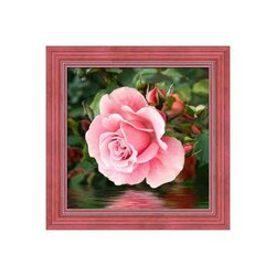 Diamond Painting Rose by the Water 25x25 cm vierkante steentjes