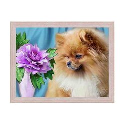 Diamond painting Pomeranian 40x30 cm vierkante steentjes