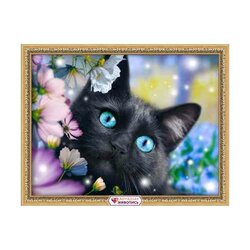 Black cat in the flowers  30x40