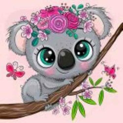 Little Koala  20 x 20 cm