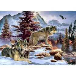 Howard Robinson, A new Dawn  vierkante  Steentjes 60 x85