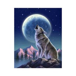 Diamond Painting Moon Guardian 38x48 cm WD2348