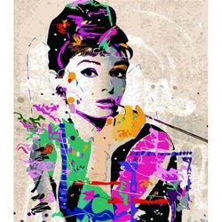 Schilderen op nummer  Vintage Dame     40 x50