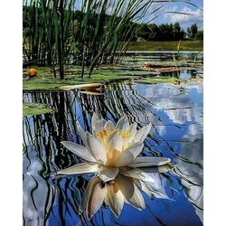 Fragrance of Morning   40 x 50