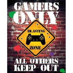 GAMERS ONLY - Mini Poster 40X50 - Controller Keep Out