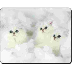 3 Witte chinchilla Kittens op Wolk Muismat