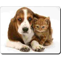 Basset Hond met kat onder zijn oor Muismat