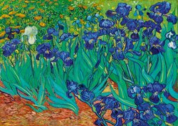 Vincent Van Gogh - Irises, 1889  Puzzel 1000 Stukjes