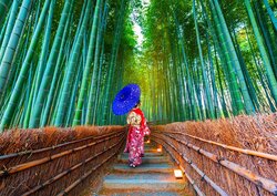 Asian Woman in Bamboo Forest  Puzzel 1000 Stukjes