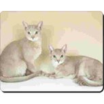 2 Abessijn Katten Muismat