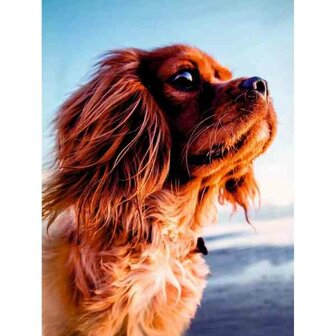 Diamond painting op kader &quot;Lovely dog&quot; 30x40 cm
