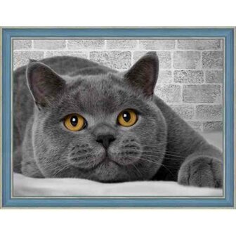 Engelse kat 40 x 30 cm