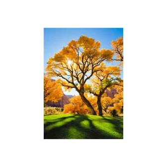 Diamond painting kit Herfst Boom 40x50