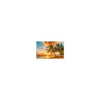 Tropical Sunset 60x38