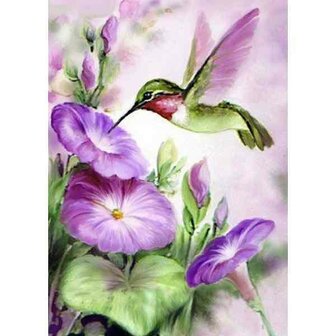 Kolibri  Ronde steentjes 39 x 55 cm