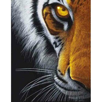 Eye of the predator 50 x 40 Ronde Steentjes