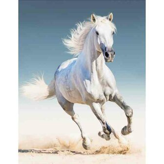 White Horse 50 x 40 Ronde Steentjes