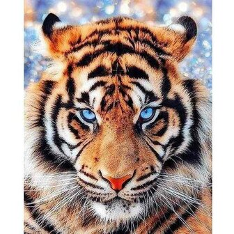 Look of tiger 40 x 50