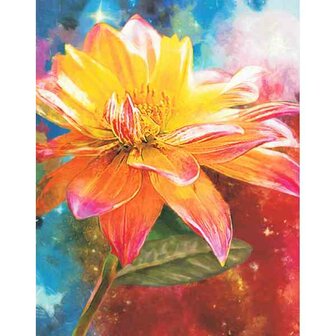 Orange Lily 40 x 50