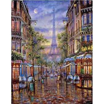Paris 50 x40  cm  ronde steentjes met kader