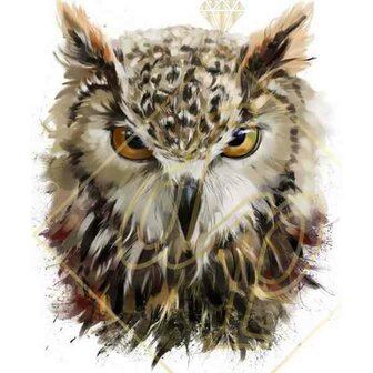 DP Diamond Painting Aquarel Uil - formaat 50 x 60 cm
