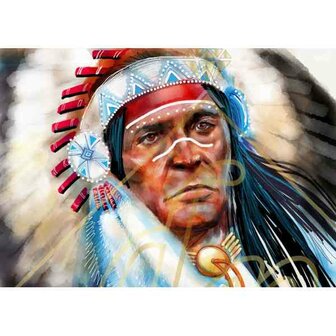 DP Diamond Painting Indian Chief - vanaf 70 x 50 cm