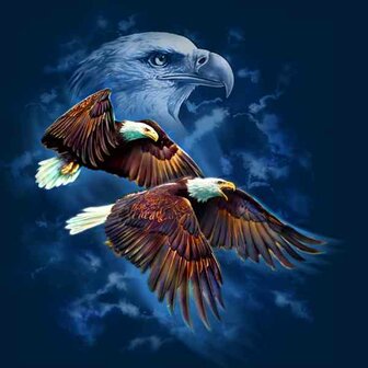 Tami Alba, Eagle Spirit  Vierkante   Steentjes 70 x70 cm
