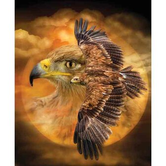 Dp Vierkante   Steentjes Spirit  40 x 50