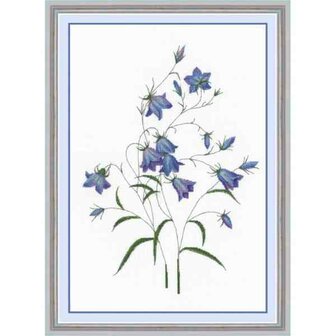 Campanula based on Pierre-Joseph Redout&eacute; gravure  borduurpakket