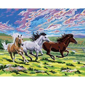 Schilderen op nummer  3 Paarden   40 x50