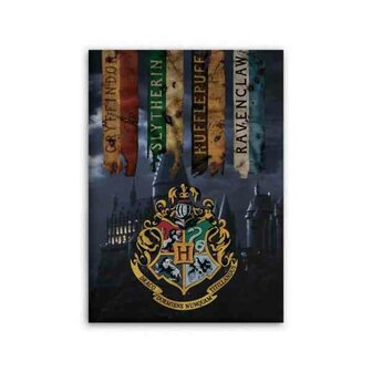 HARRY POTTER - Crest - Polar Plaid 100% Microfiber 70x140cm